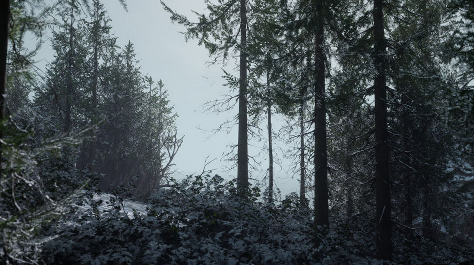 Thorgal – Aktion-RPG mit Souls-Like-Gameplay